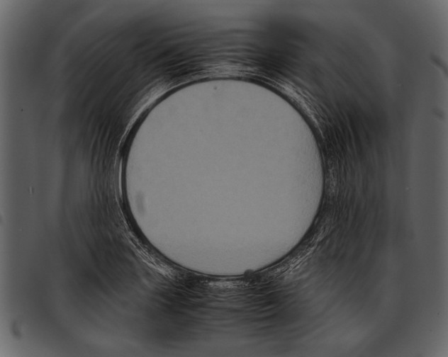 X0000097481227200803201502