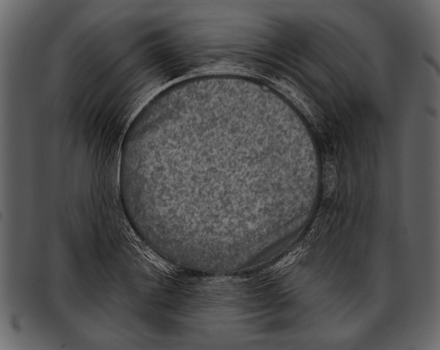 X0000097481228200803201502