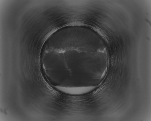 X0000097481229200803201502