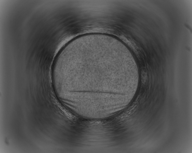 X0000097481230200803201502