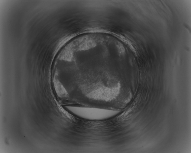 X0000097481231200803201502