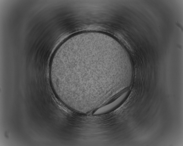 X0000097481232200803201502