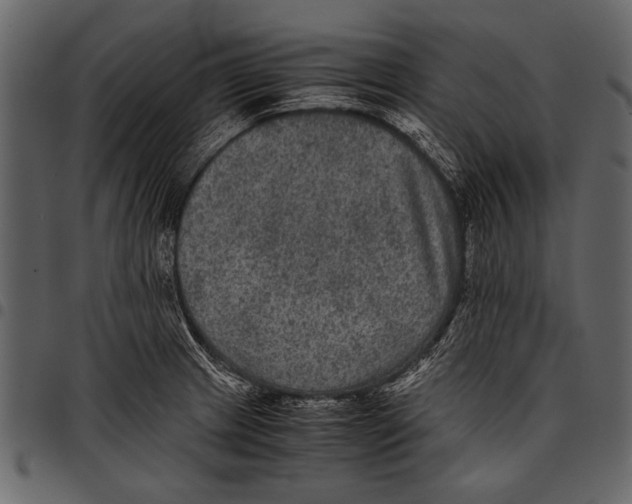 X0000097481233200803201502