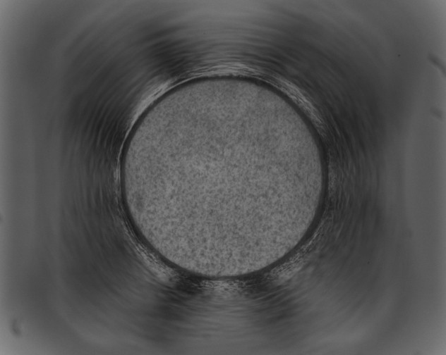 X0000097481234200803201502