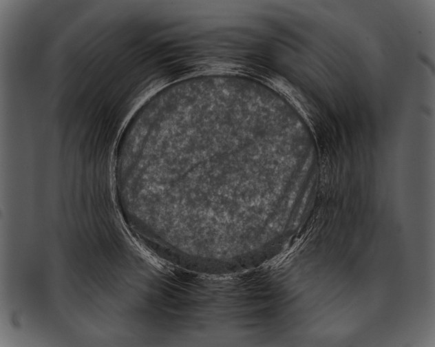 X0000097481235200803201502