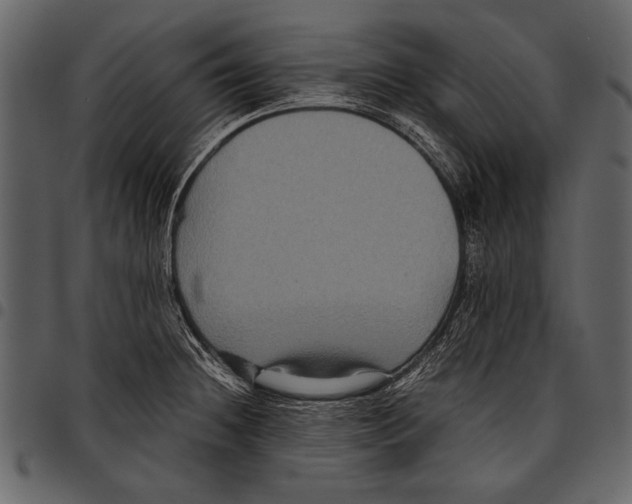 X0000097481236200803201502