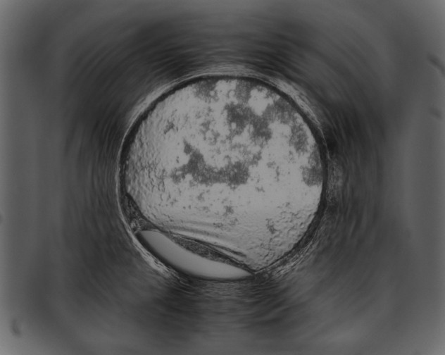 X0000097481237200803201502