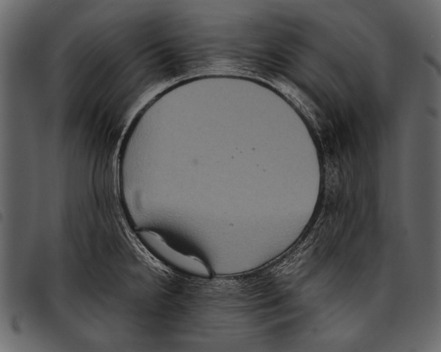 X0000097481238200803201502