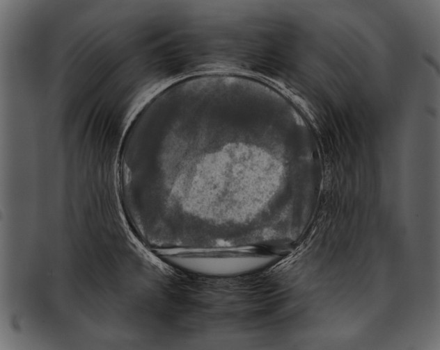 X0000097481239200803201502