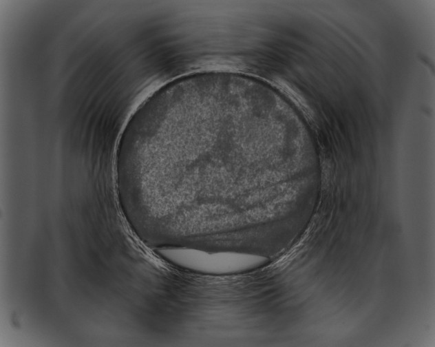 X0000097481240200803201502