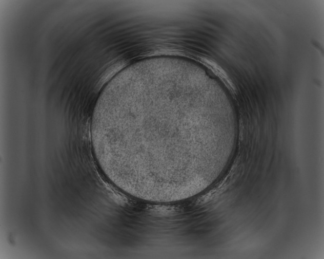 X0000097481241200803201503