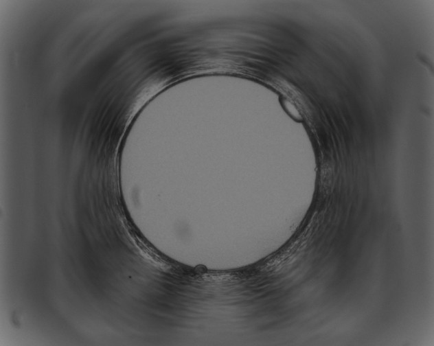 X0000097481242200803201503