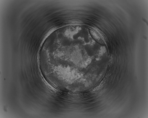 X0000097481243200803201503