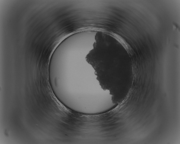 X0000097481244200803201503