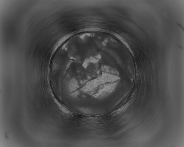 X0000097481245200803201503