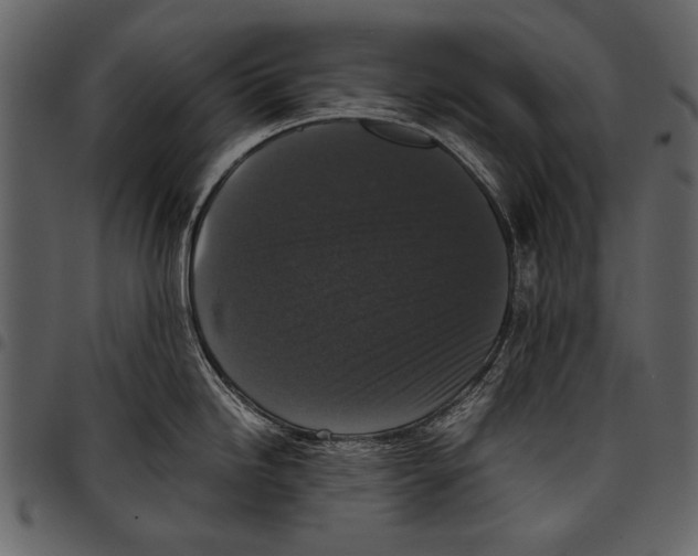 X0000097481246200803201503