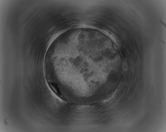 X0000097481247200803201503