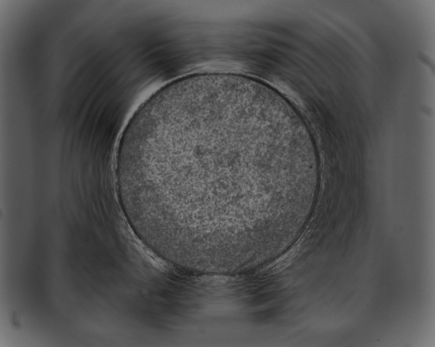 X0000097481248200803201503