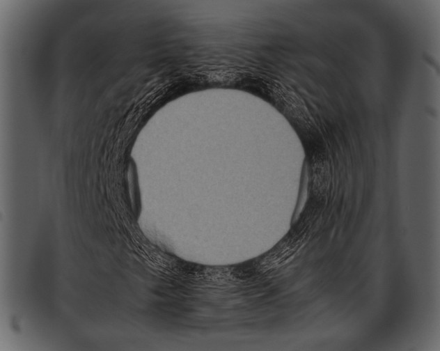 X0000097481249200803201502