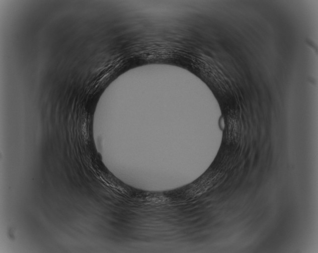 X0000097481250200803201502