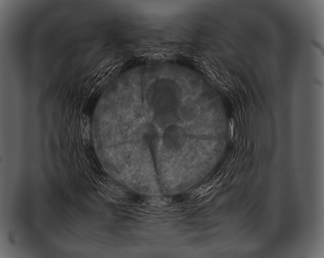 X0000097481251200803201502