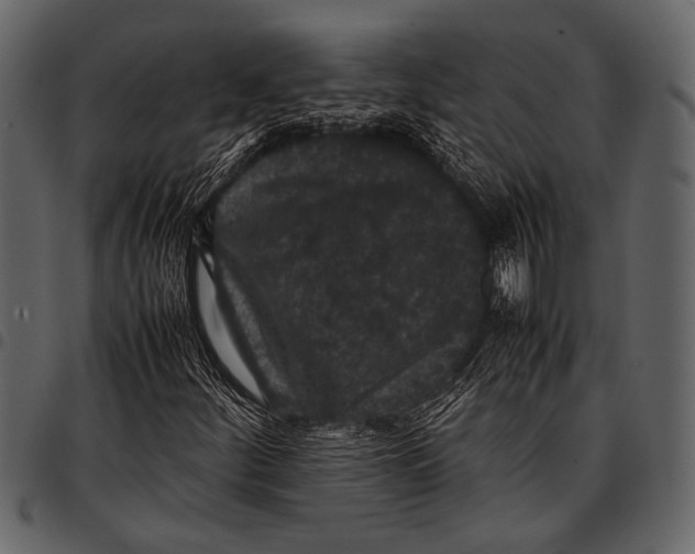 X0000097481252200803201502