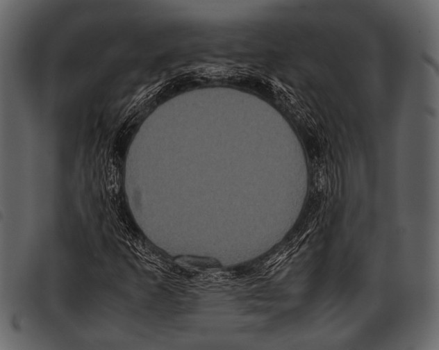 X0000097481253200803201502