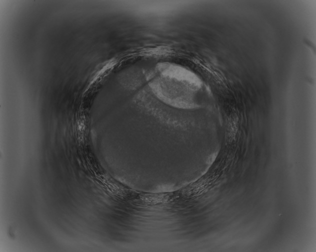 X0000097481254200803201502