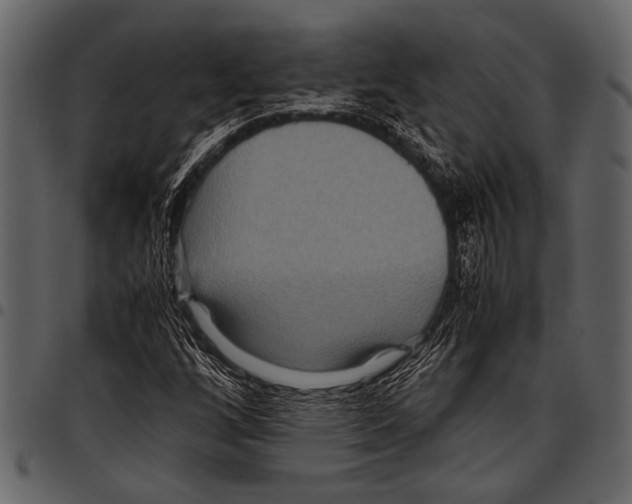 X0000097481256200803201502