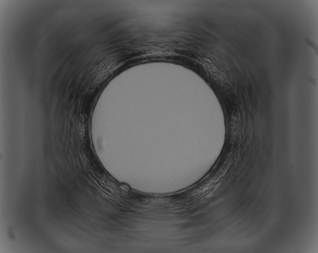 X0000097481257200803201502