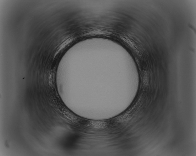 X0000097481258200803201502