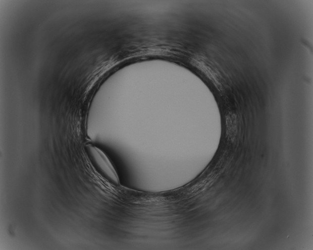 X0000097481260200803201502