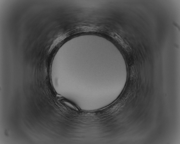 X0000097481261200803201502