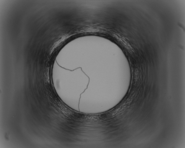 X0000097481262200803201502