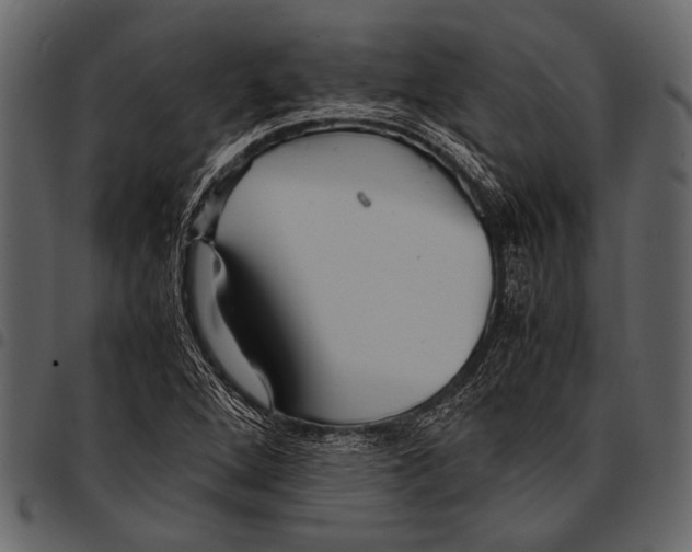 X0000097481264200803201502