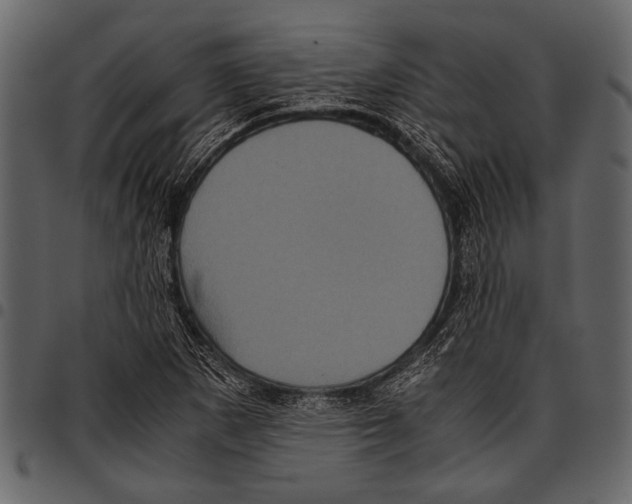 X0000097481265200803201502