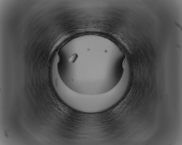 X0000097481266200803201502