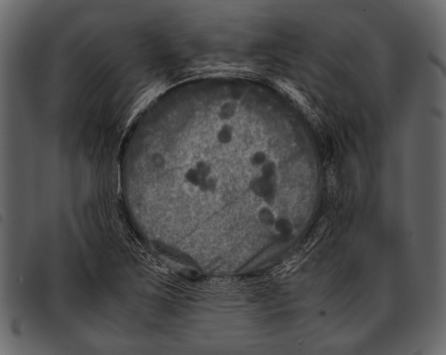 X0000097481267200803201502