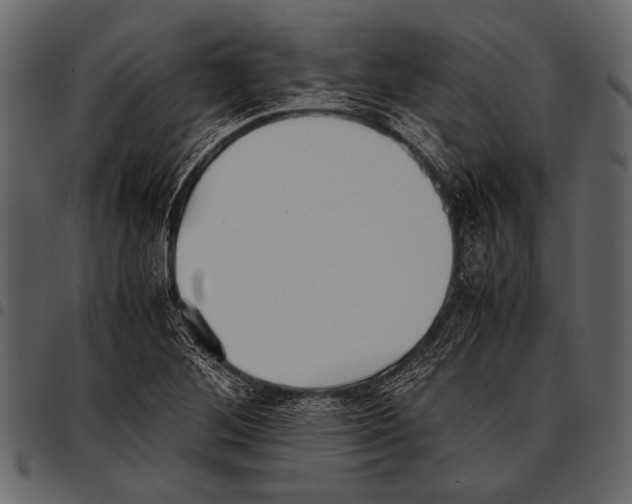 X0000097481268200803201502