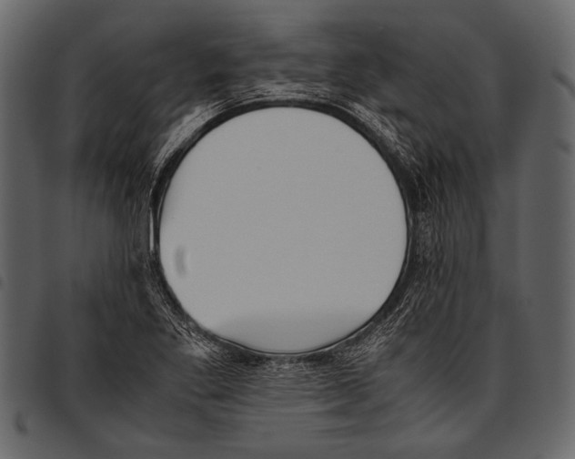 X0000097481269200803201502