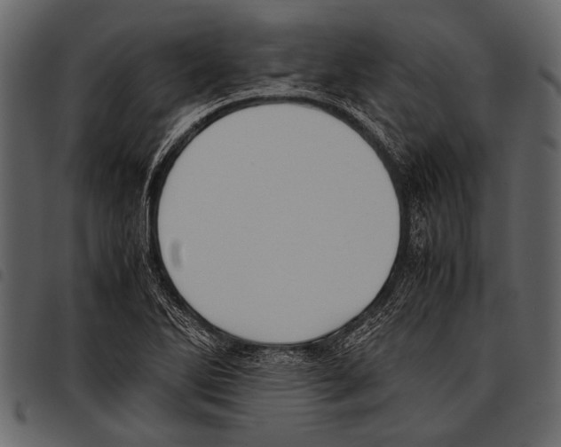 X0000097481270200803201502