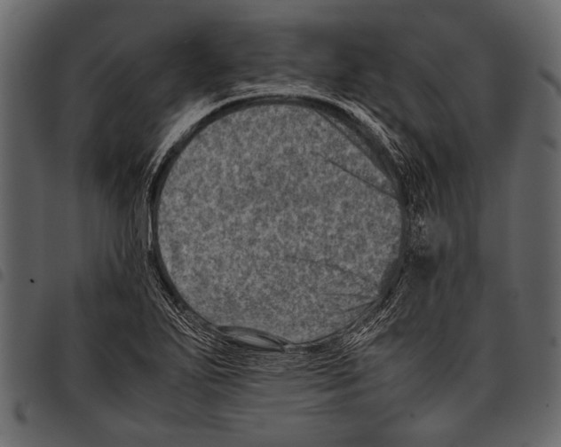 X0000097481271200803201502