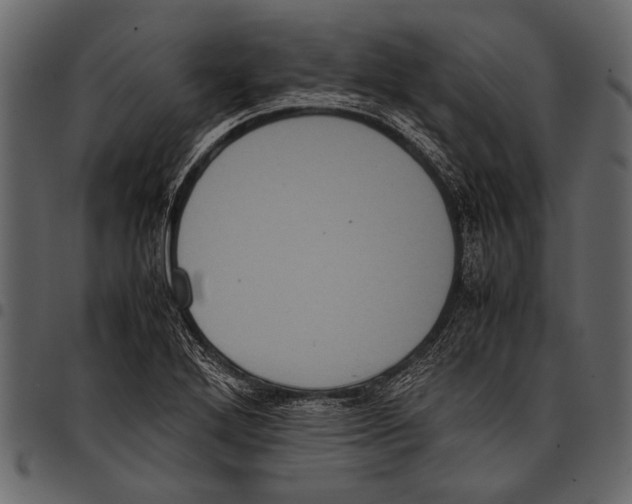 X0000097481272200803201502