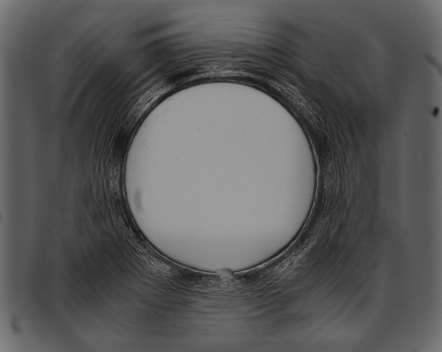 X0000097481273200803201502