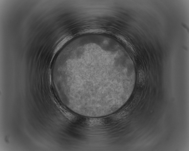 X0000097481274200803201502