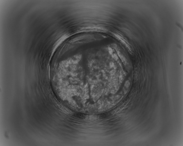 X0000097481275200803201502