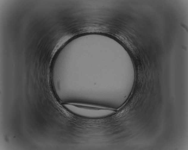 X0000097481277200803201502