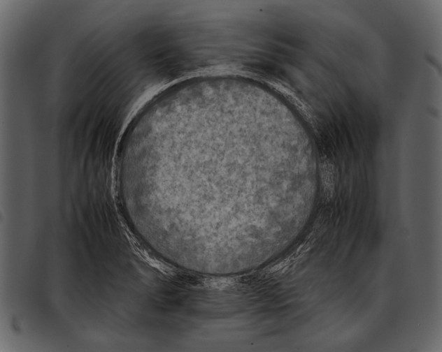 X0000097481278200803201502