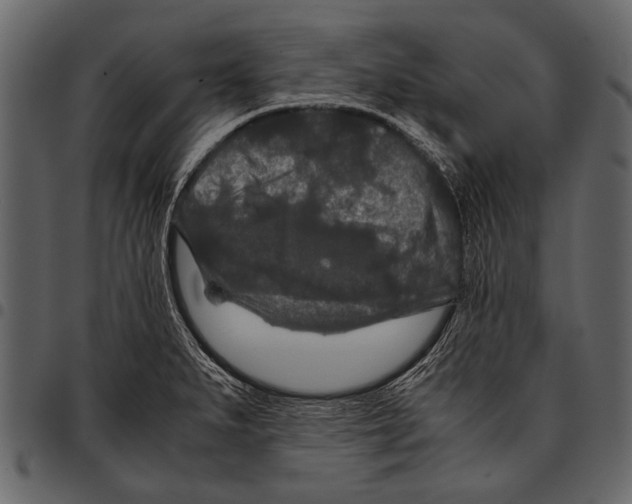 X0000097481279200803201502