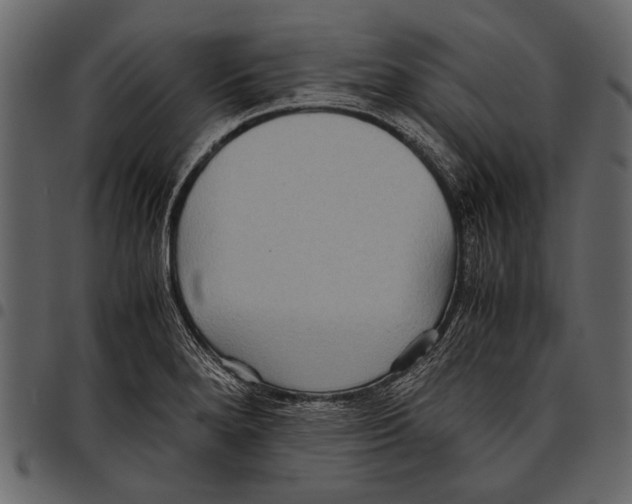 X0000097481280200803201502